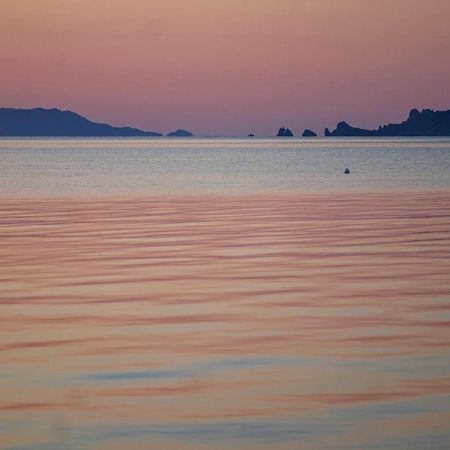 L'Almanarre Lejlighed Hyères Eksteriør billede